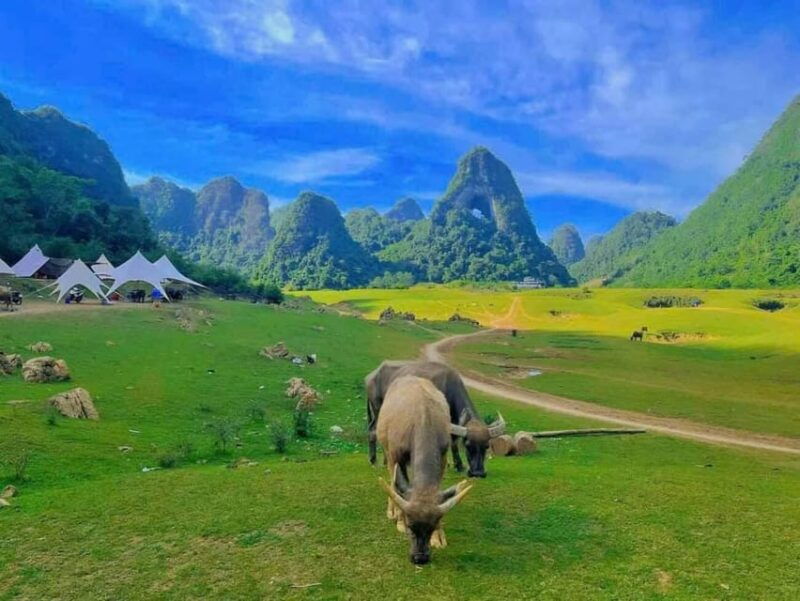 from-hanoi-ban-gioc-waterfall-2-day-1-night-small-group