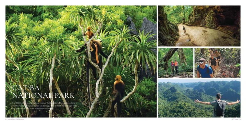 From Hanoi: Cat Ba Island 2-Day Tour with Trekking - An In-Depth Look at the Tour Itself