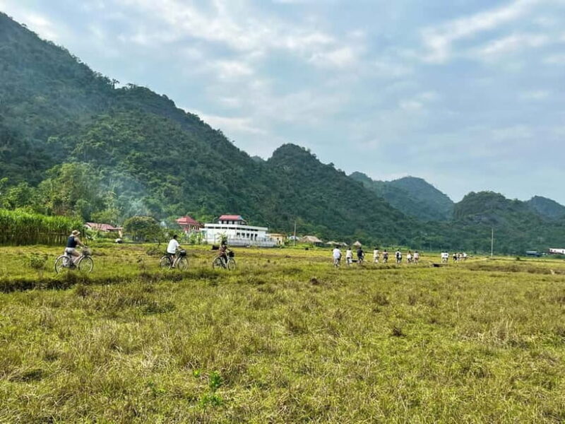 From Hanoi/Cat Ba: Lan Ha Bay Day Trip with Cruise and Lunch - The Journey Begins: From Hanoi to Lan Ha Bay