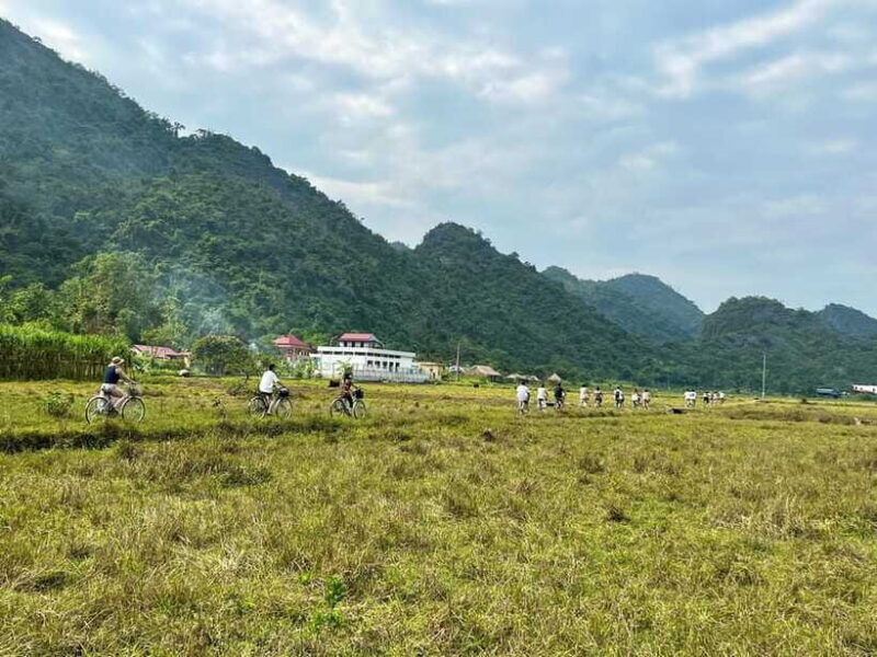 From Hanoi/Cat Ba: Lan Ha Bay Day Trip with Cruise and Lunch - The Sum Up