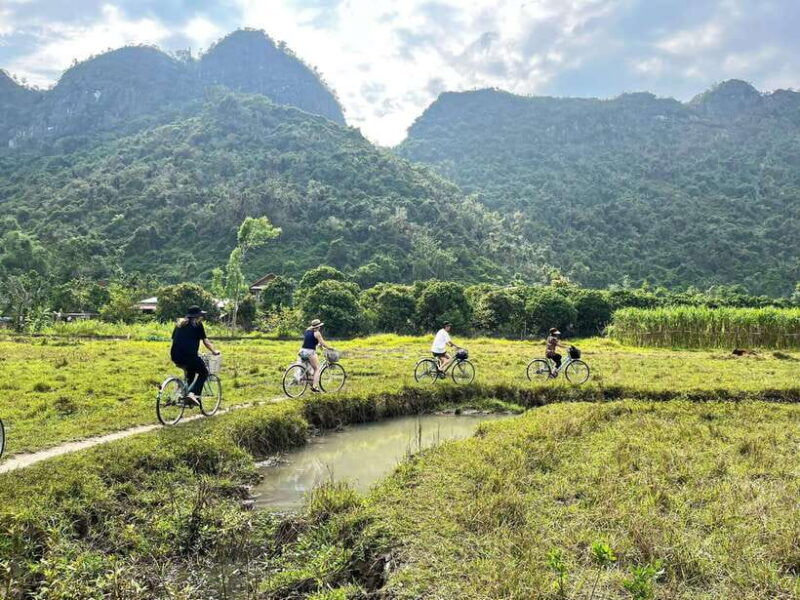 from-hanoi-cat-ba-lan-ha-bay-day-trip-with-cruise-and-lunch