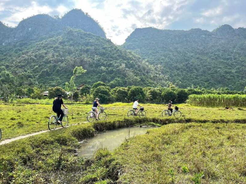 from-hanoi-cat-ba-lan-ha-bay-day-trip-with-cruise-and-lunch