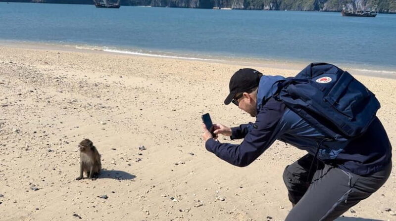 From Hanoi/Cat Ba: Lan Ha Bay Full-Day Boat Trip - Key Points