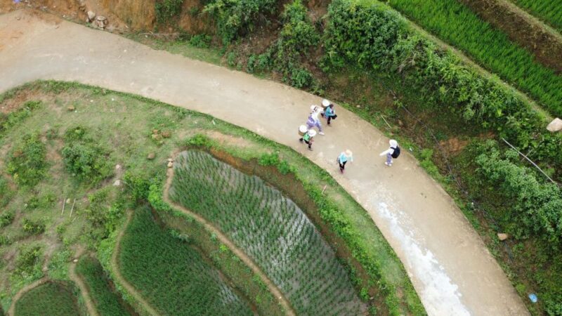 From Hanoi: Discover Sapa 2-Day 1-Night Trekking Adventure - FAQ