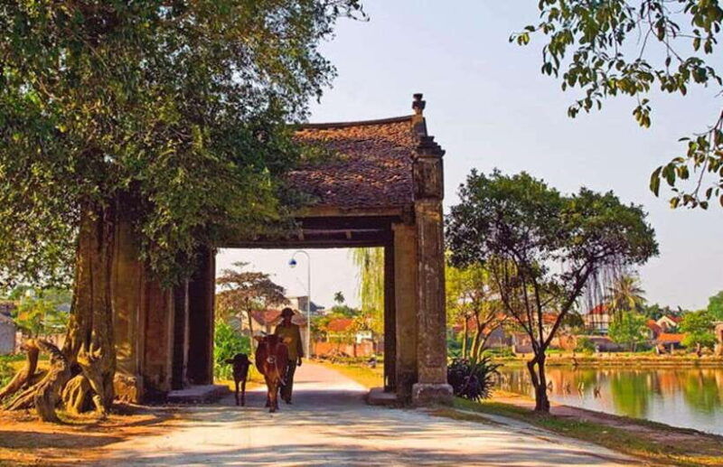 from-hanoi-duong-lam-ancient-village-private-full-day-trip