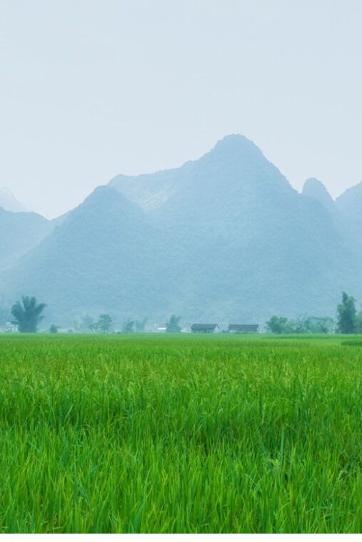 from-hanoi-easy-rider-2-day-motorbike-tour-of-cao-bang-loop