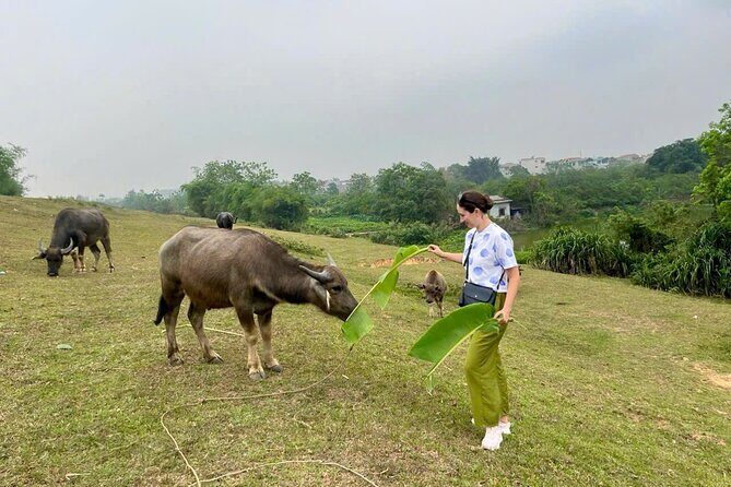 From Hanoi: Explore Hidden Gems of Duong Lam with Jeep Tour - Final Thoughts