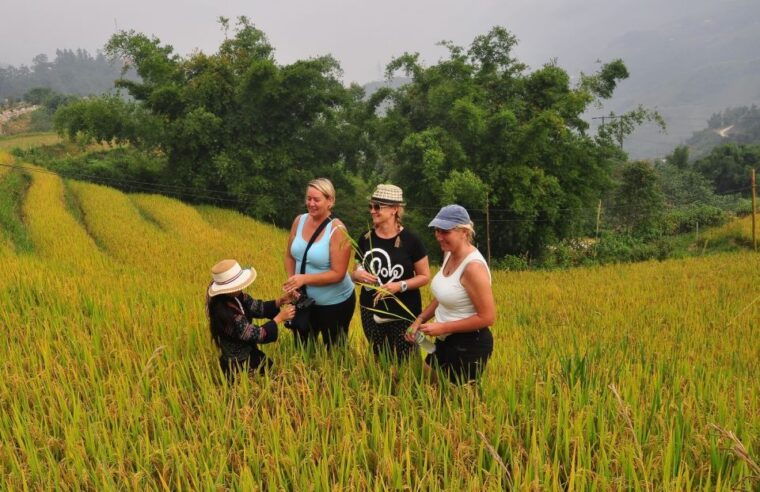 from-hanoi-explore-sapa-2-day-tour
