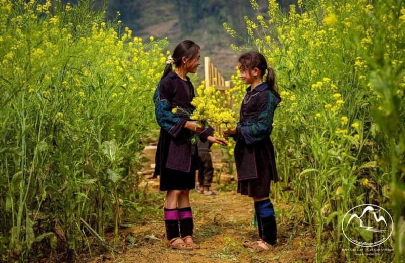 From Hanoi: Explore Sapa & Fansipan For 2 Days 1 Nights - Introduction: What’s This Tour All About?