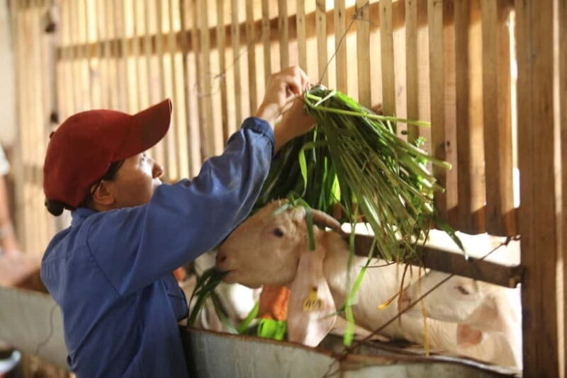 From Hanoi: Full-Day Authentic Vietnam Farming Tour - Final Thoughts