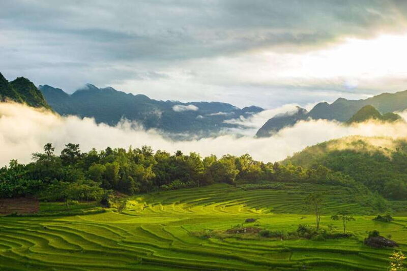 From Hanoi: Full-Day Hiking Tour of Pu Luong (Monday Only) - The Sum Up
