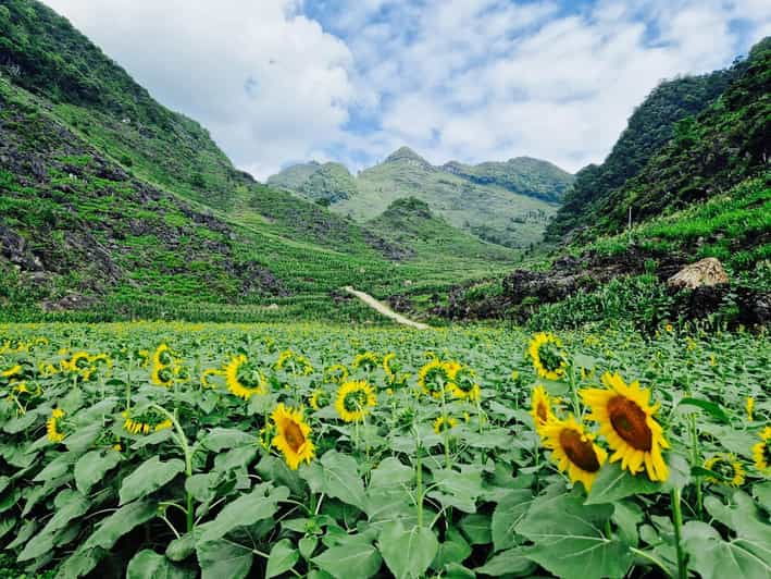 from-hanoi-ha-giang-loop-3d2n-hong-hao