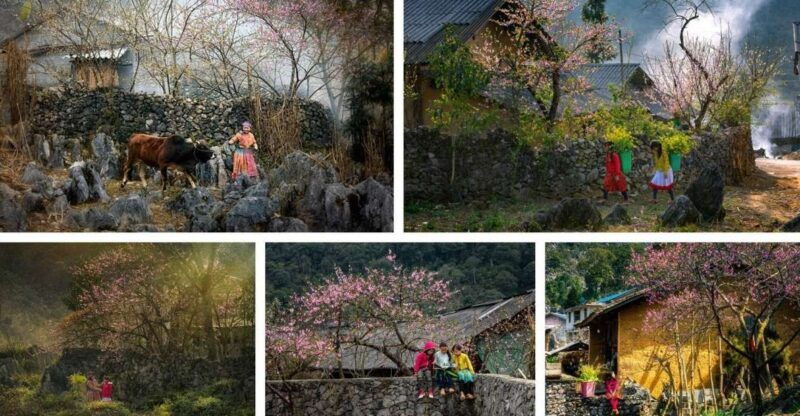 from-hanoi-ha-giang-loop-4-days-4-nights-with-easy-rider