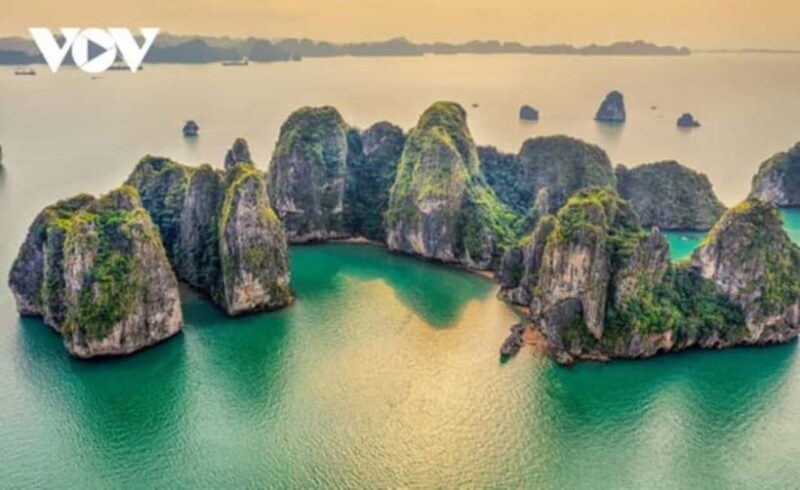 From Hanoi: Ha Long Bay Luxury Day Trip with Kayaking &Titop - Kayaking into Luon Cave: adventure on tranquil waters