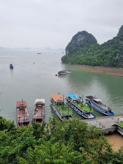 From Hanoi: Ha Long Bay Luxury Day Trip with Kayaking &Titop - Authentic experiences and insider tips