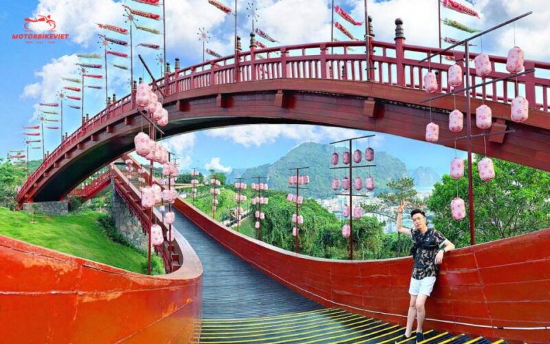 from-hanoi-halong-bay-1-day-tour-on-a-luxury-cruise