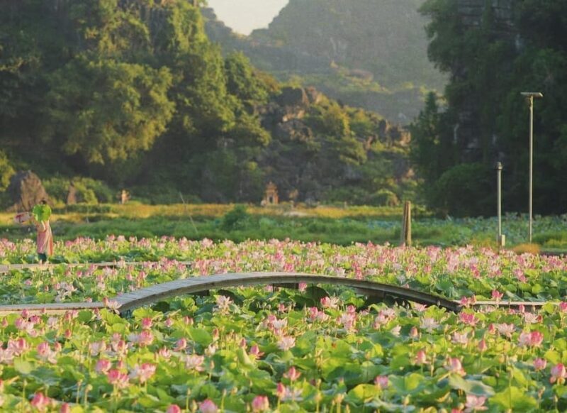 From Hanoi: Hoa Lu / Bai Dinh & Bich Dong & Thung Nham - Final Thoughts: Who Is This Tour Best For?