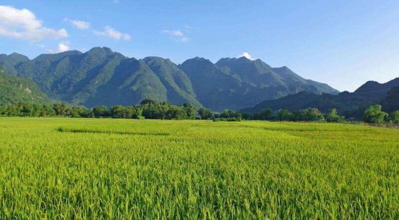 from-hanoi-mai-chau-and-pu-luong-nature-reserve-2-day-tour