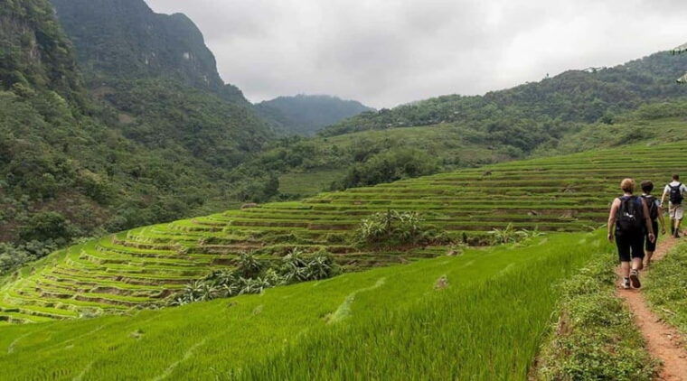from-hanoi-mai-chau-and-pu-luong-nature-reserve-2-day-tour