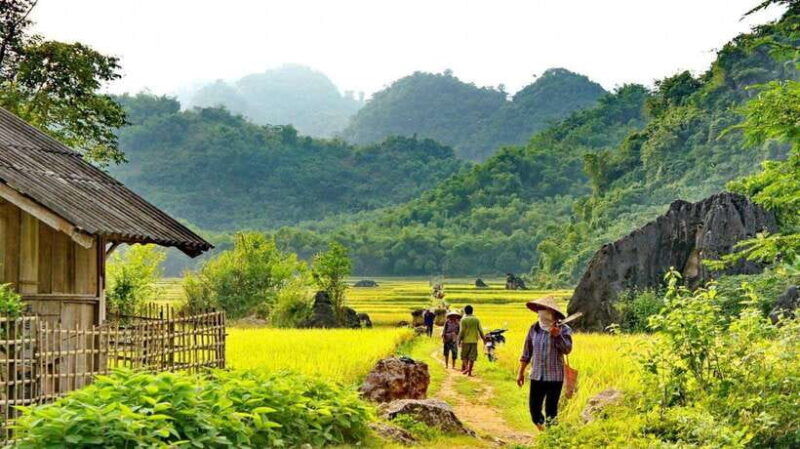 from-hanoi-mai-chau-day-trip-with-cycling-and-lunch
