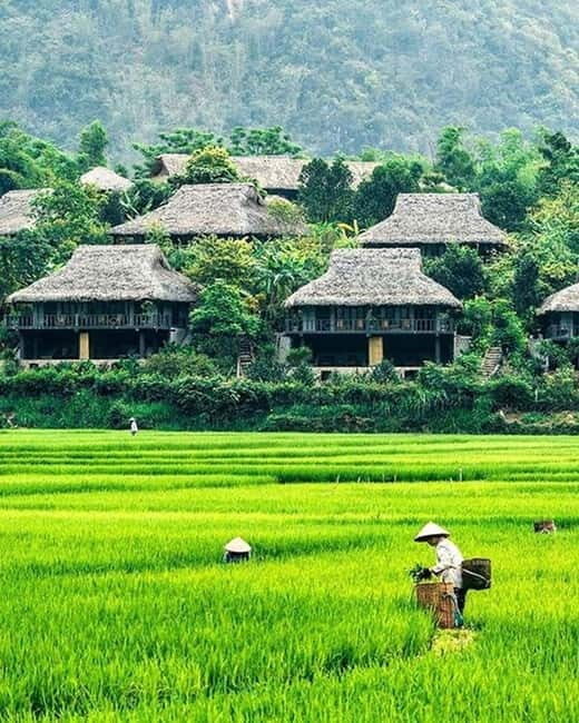 From Hanoi: Mai Chau Excursion 1 Day with Cycling and Lunch - Key Points