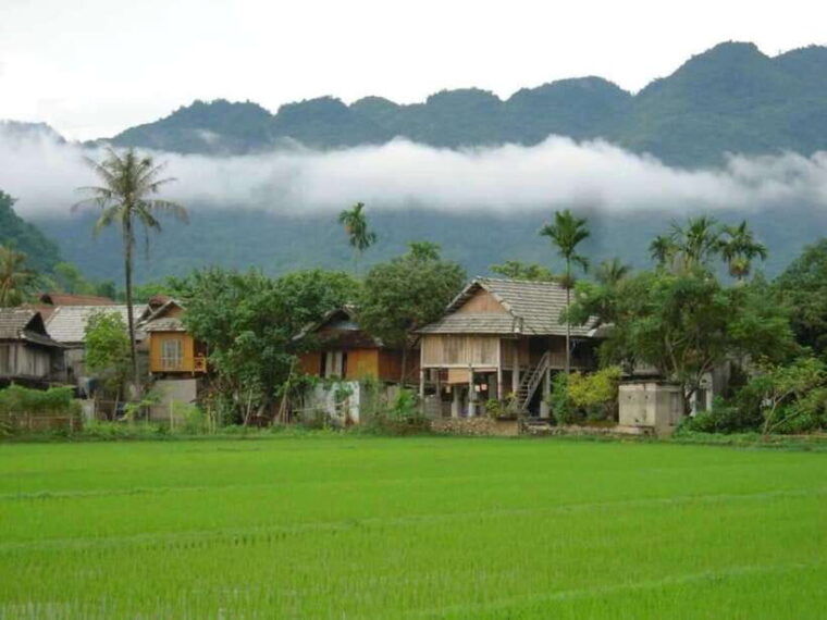 from-hanoi-mai-chau-pu-luong-2-days-1-night-tour