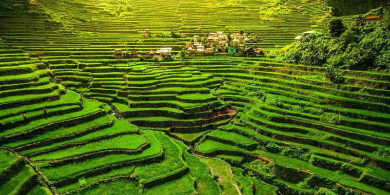 from-hanoi-mai-chau-valley-2-day-tour-with-homestay