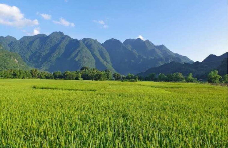 from-hanoi-mai-chau-valley-day-trip-with-lunch-and-bike