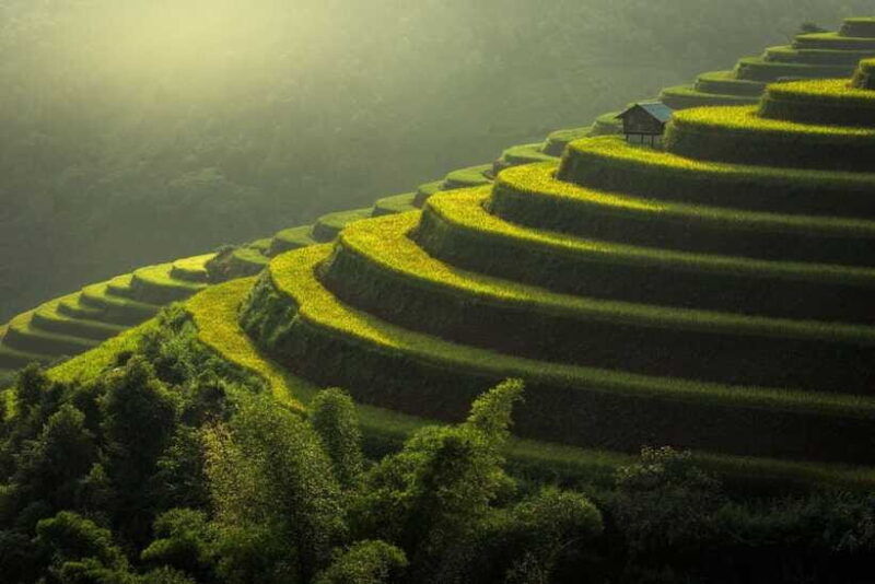 from-hanoi-mu-cang-chai-3d2n-trekking-with-local-people