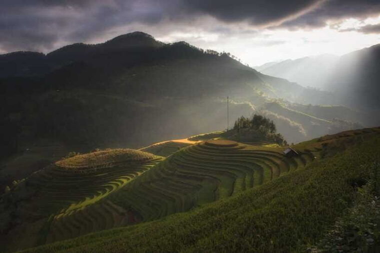 from-hanoi-mu-cang-chai-3d2n-trekking-with-local-people