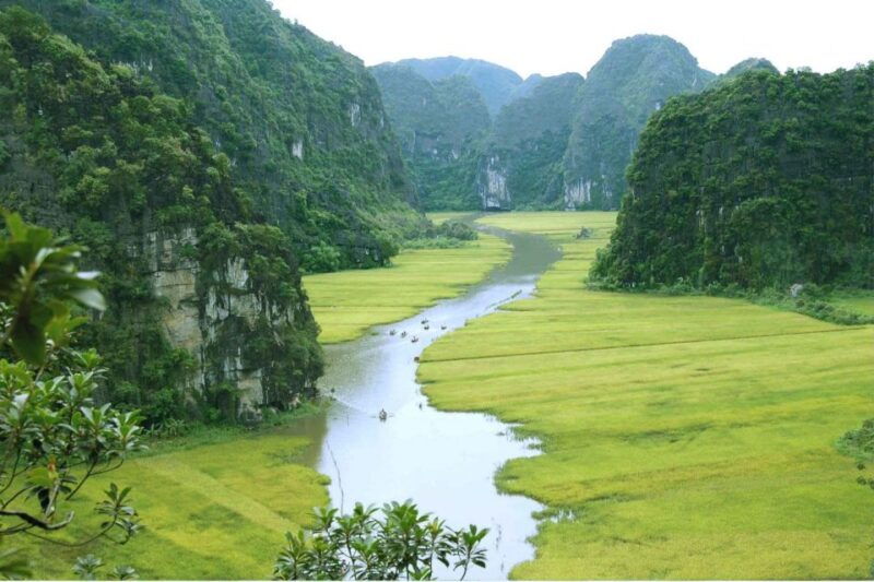 from-hanoi-ninh-binh-cuc-phuong-national-park-2-day-tour