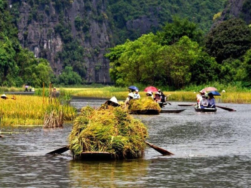 from-hanoi-ninh-binh-cuc-phuong-national-park-2-day-tour