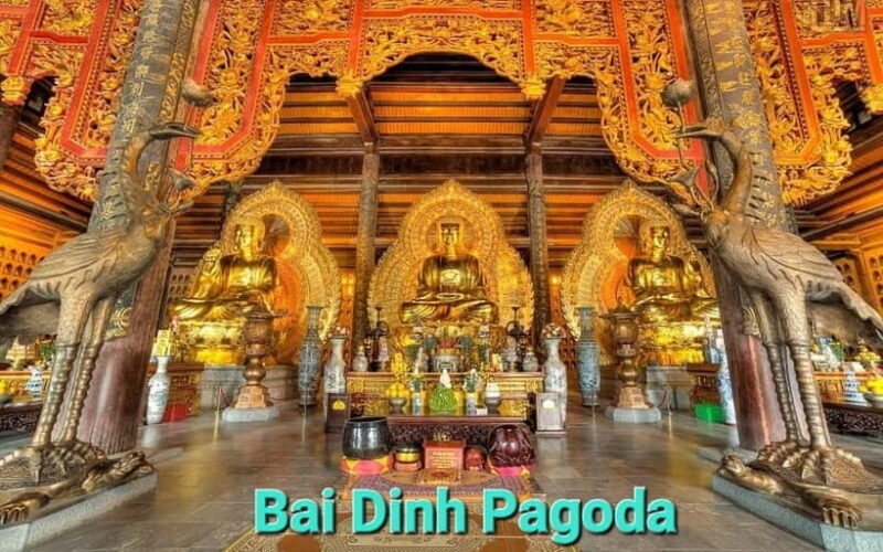 From Hanoi/NinhBinh: HoaLu-Bai Din- TrangAn- MuaCave-BichDon - FAQs