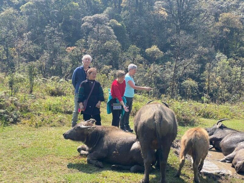 from-hanoi-or-ha-giang-sapa-trekking-3-day-full-package