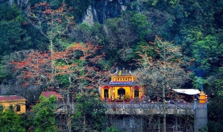 from-hanoi-perfume-pagoda-tour-and-quang-phu-cau-1-day