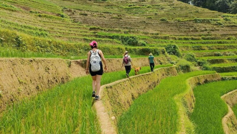 From Hanoi: Private 2-Day Mu Cang Chai Homestay & Trekking - Key Points