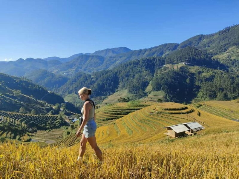 From Hanoi: Private 2-Day Mu Cang Chai Homestay & Trekking - An Authentic Journey into Northern Vietnam’s Rice Terraces