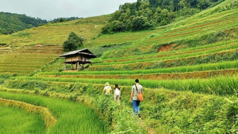 From Hanoi: Private 2-Day Mu Cang Chai Homestay & Trekking - Final Thoughts