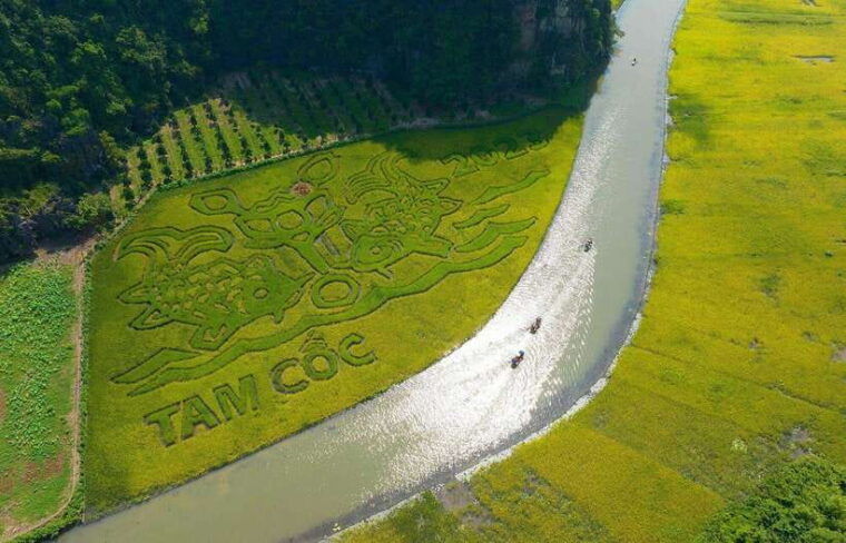 from-hanoi-private-tour-ninh-binh-hoa-lu-tam-coc-trang-an