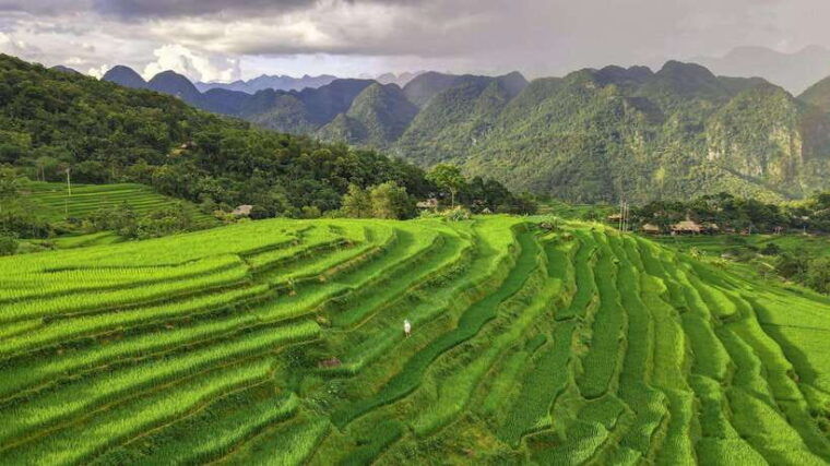 from-hanoi-pu-luong-nature-reserve-3-day-package-tour