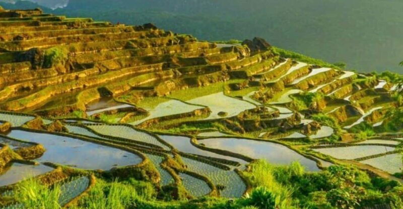 from-hanoi-pu-luong-nature-reserve-vacation-2d1n