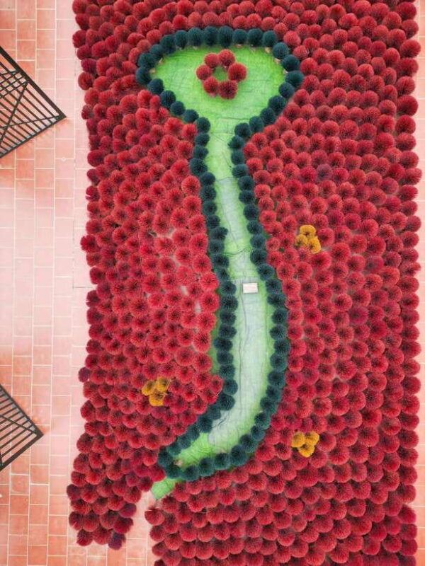 From Hanoi: Quang Phu Cau Incense Village Half-Day Tour - What to Expect on the Tour