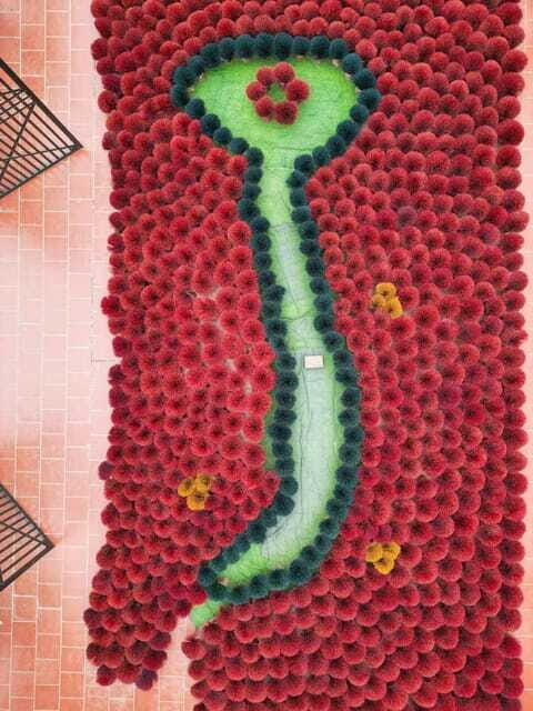 From Hanoi: Quang Phu Cau Incense Village Half-Day Tour - Summary: Who Is This Tour Best For?