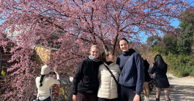 from-hanoi-sapa-2-day-ha-giang-loop-tour-easy-rider