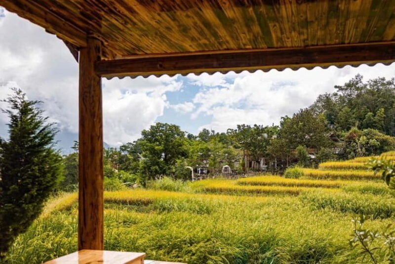 From Hanoi: Sapa 3-Day Trek with Culture and Cozy Bungalow - Final Words