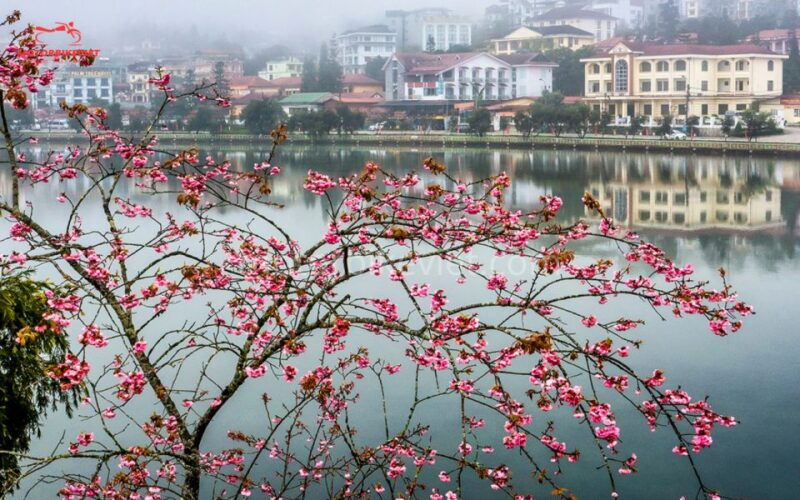 from-hanoi-sapa-3-days-2-nights-in-the-evening