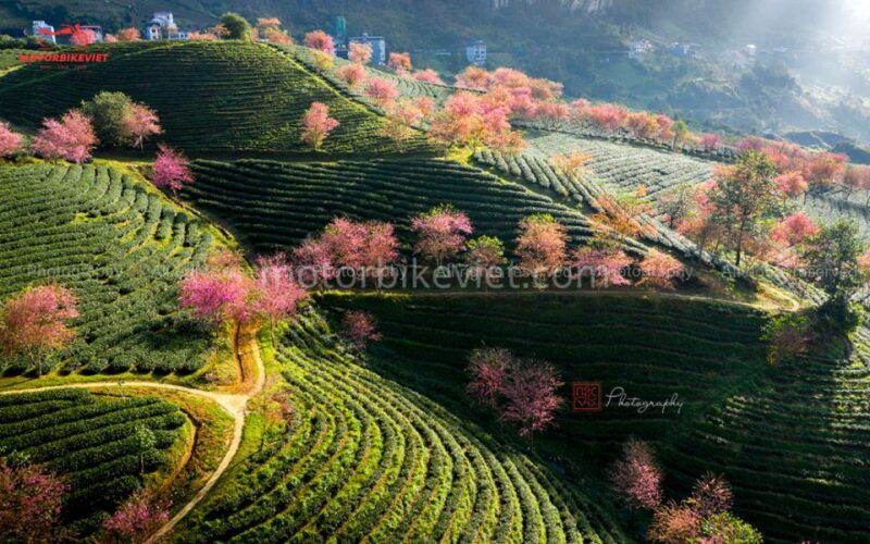 from-hanoi-sapa-3-days-2-nights-in-the-evening