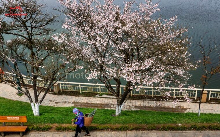 from-hanoi-sapa-3-days-2-nights-in-the-evening