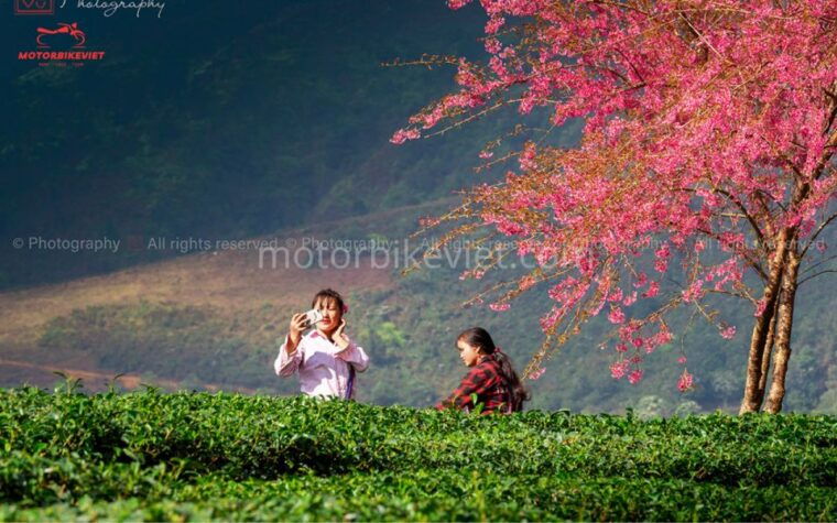 from-hanoi-sapa-3-days-2-nights-in-the-evening