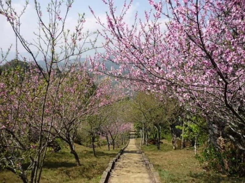 From Hanoi: Sapa 3 Days Trek, Phansipan Peak| 5-Stars Hotel - Exploring the Itinerary: What to Expect